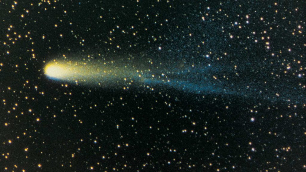 Kometa Halleya