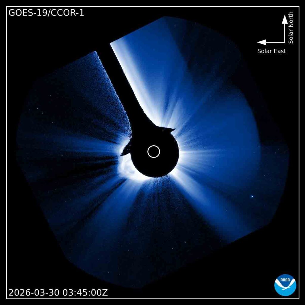 Wrzut CME 30.03.2026